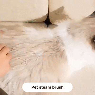 Steamy Cat Brush – Self-Cleaning Steam Pet Grooming Brush